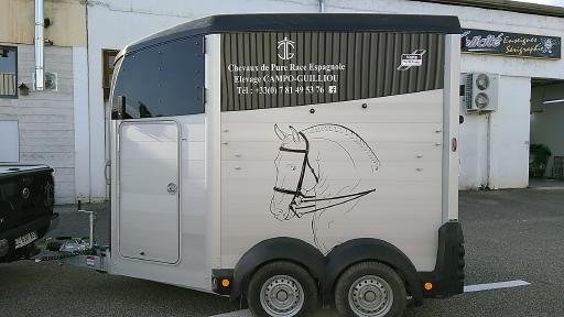 Flocage Remorque Horse